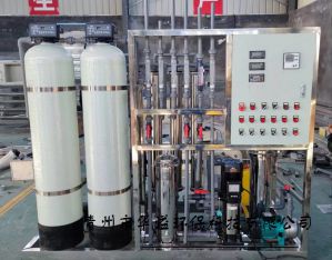 0.5噸雙級反滲透設(shè)備 水處理設(shè)備 超純水設(shè)備 一體機(jī)去離子水設(shè)備